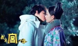 我为宫狂在线观看,揭秘我为宫狂的精彩剧情