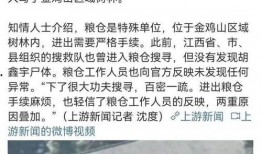 胡鑫宇案最新消息爆料,揭秘校园悲剧背后的真相与疑云