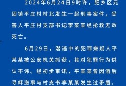 晨光村支书爆料新闻事件,揭开新闻事件背后真相